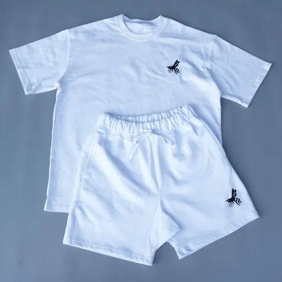 300GSM 100%Cotton Loose Size Custom Design Heavy Weight Fabric Summer Wear Short Sleeve Men′s T