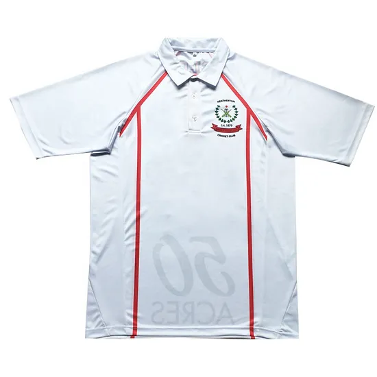 Manufacturer Factory Wholesale Custom Cheap Custom Au Cricket Team Jerseys in Unisex Style 